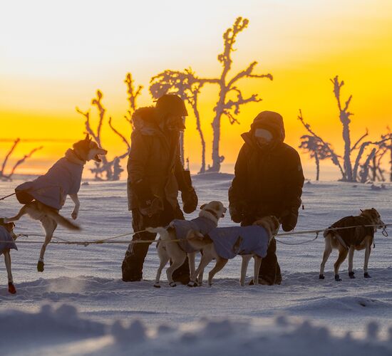 Authentic Holiday Husky Farm Adventure in Finland © Tuomo Vilkkilä